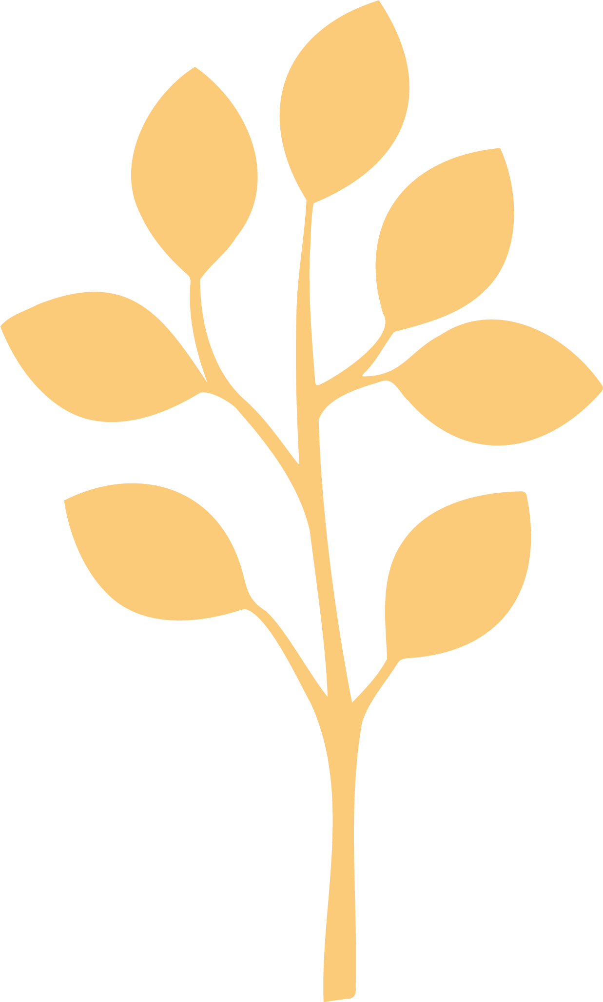 ein Zweig mit Blättern